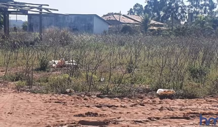 FAZENDA COM 558 ALQUEIRES PAULISTAS DUPLA APTIDÃO EM CANA ARRENDADA EM BAURU - SP
