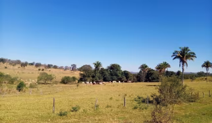 FAZENDA DUPLA APTIDÃO COM 183 ALQUEIRES EM CALDAS NOVAS - GO