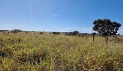 FAZENDA COM 500 ALQUEIRES DUPLA APTIDÃO NO MUNICÍPIO DE BOM JARDIM DE GOIÁS - GO