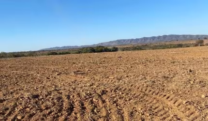 FAZENDA COM 602 ALQUEIRES DUPLA APTIDÃO NO MUNICÍPIO DE SÃO JOÃO D'ALIANÇA - GO