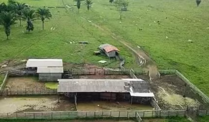 FAZENDA COM 220 ALQUEIRES DUPLA APTIDÃO NO MUNICÍPIO DE SÃO FÉLIX DO XINGU - PA