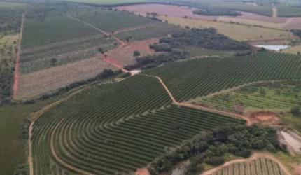 FAZENDA PARA AGRICULTURA EM LARANJA COM 170 ALQUEIRES PAULISTAS EM ANGATUBA - SP