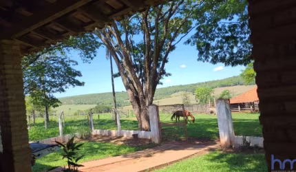 FAZENDA DUPLA APTIDÃO COM 72 ALQUEIRES EM CAMPO FLORIDO - MG