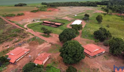 FAZENDA DUPLA APTIDÃO COM 420 ALQUEIRES EM FÁTIMA - TO