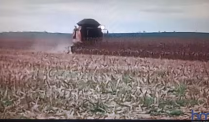 FAZENDA COM 420 ALQUEIRES DUPLA APTIDÃO NO MUNICÍPIO DE FORTALEZA DO TABOCÃO - TO