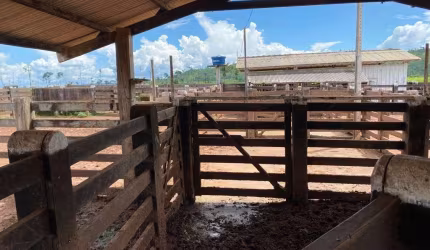 FAZENDA COM 380 ALQUEIRES DUPLA APTIDÃO NO MUNICÍPIO DE SÃO FÉLIX DO XINGU - PA