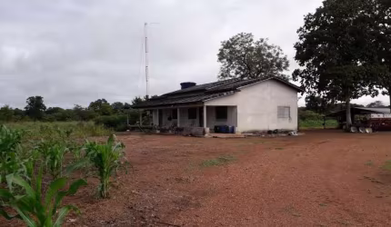FAZENDA DUPLA APTIDÃO COM 250 ALQUEIRES EM DUERÉ - TO NO VALE DO ARAGUAIA