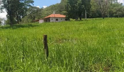 FAZENDA DUPLA APTIDÃO COM 16,5 ALQUEIRES EM CAMPINA VERDE - MG