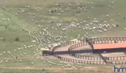 FAZENDA PARA PECUÁRIA COM 6.135 HECTARES EM SANTO ANTÕNIO DO LEVERGER - MT