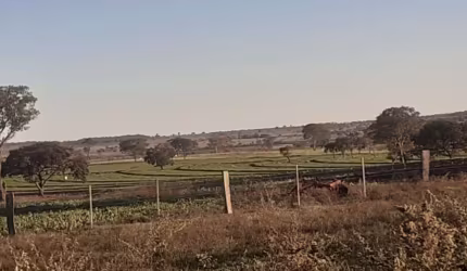 FAZENDA DUPLA APTIDÃO COM 1.092 HECTARES EM CASSILÂNDIA - MS