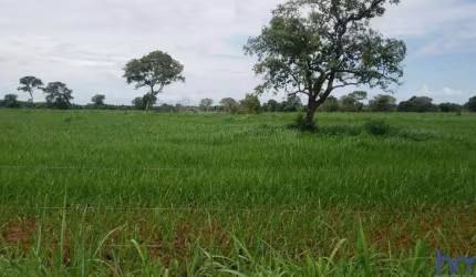 FAZENDA COM 311 ALQUEIRES DUPLA APTIDÃO NO MUNICÍPIO DE PORANGATU - GO