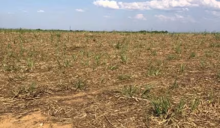 FAZENDA PARA AGRICULTURA EM CANA COM 81 ALQUEIRES EM URUAÇU - GO