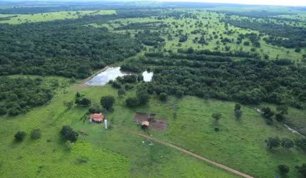 FAZENDA DUPLA APTIDÃO COM 435 ALQUEIRES EM NOVO PLANALTO - GO
