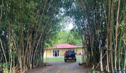 FAZENDA DUPLA APTIDÃO 382 ALQUEIRES EM SANTANA DO ARAGUAIA-PA