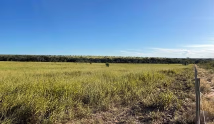 FAZENDA DUPLA APTIDÃO COM 548 ALQUEIRES EM NOVA LACERDA - MT