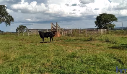 FAZENDA COM 15 ALQUEIRES DUPLA APTIDÃO NO MUNICÍPIO DE CAMPINA VERDE - MG