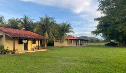 FAZENDA COM 382 ALQUEIRES PARA PECUÁRIA NO MUNICÍPIO DE VILA RICA - MT