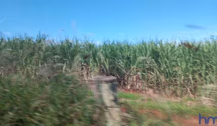 FAZENDA DUPLA APTIDÃO EM CANA COM 54 ALQUEIRES EM ITUIUTABA - MG