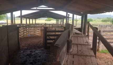 FAZENDA COM 1.042 ALQUEIRES DUPLA APTIDÃO EM SÃO FÉLIX DO XINGU-PA