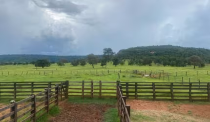 FAZENDA DUPLA APTIDÃO COM  295 ALQUEIRES NO MUNICÍPIO DE ITARUMÃ - GO