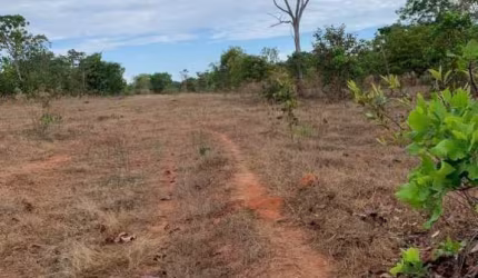 FAZENDA COM 1.480 HECTARES DUPLA APTIDÃO EM PARANATINGA - MT