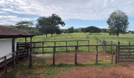 FAZENDA COM 90 ALQUEIRES DUPLA APTIDÃO NO MUNICÍPIO DE JUSSARA - GO