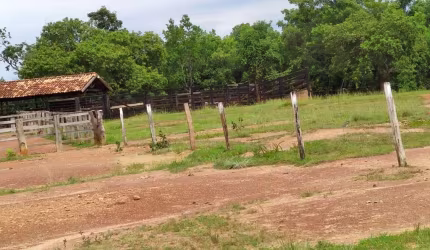 FAZENDA 1.510 ALQUEIRES DE DUPLA APTIDÃO EM SILVANÓPOLIS-TO