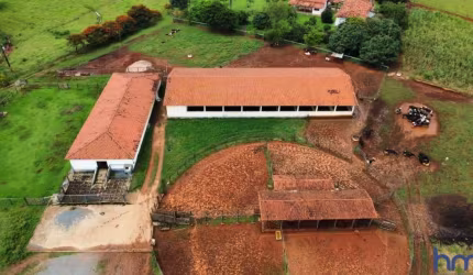FAZENDA DUPLA APTIDÃO COM 200 ALQUEIRES EM CARMO DO PARANAÍBA - MG