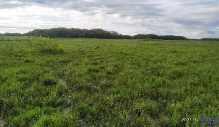 FAZENDA PARA PECUÁRIA COM 800 ALQUEIRES PAULISTAS EM AQUIDAUANA - MS
