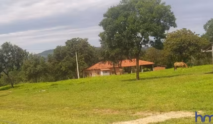 FAZENDA PARA PECUÁRIA COM 500 ALQUEIRES EM PARANÃ - TO