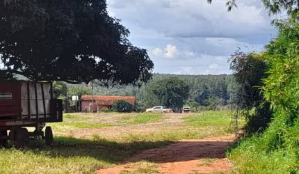 FAZENDA 108 ALQUEIRES DUPLA APTIDÃO NO PRATA-MG