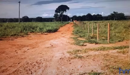 FAZENDA COM 251 ALQUEIRES DUPLA APTIDÃO NO MUNICÍPIO DE PEIXE - TO