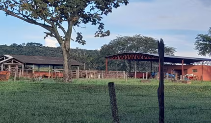 FAZENDA 82 ALQUEIRES DUPLA APTIDÃO PRATA-MG