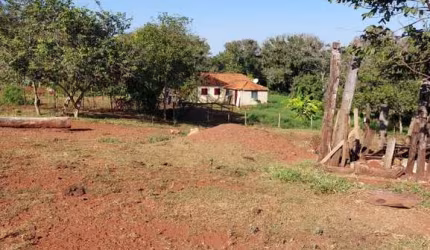 FAZENDA COM 22,5 ALQUEIRES DUPLA APTIDÃO EM MONTE ALEGRE DE MINAS - MG