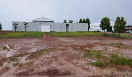 FAZENDA COM 646 ALQUEIRES DUPLA APTIDÃO NO MUNICÍPIO DE ALIANÇA DO TOCANTINS - TO