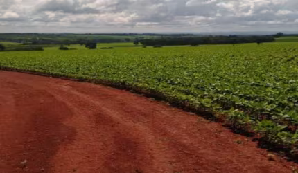FAZENDA COM 85 ALQUEIRES DUPLA APTIDÃO EM CRISTIANÓPOLIS - GO