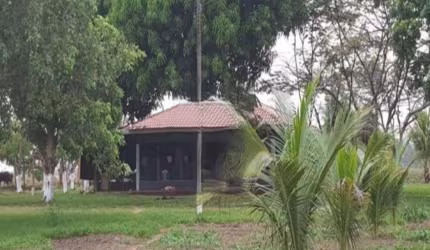 FAZENDA COM 1.777 ALQUEIRES DUPLA APTIDÃO NO MUNICÍPIO DE COLINAS - TO