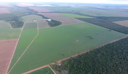 FAZENDA COM 325 ALQUEIRES DUPLA APTIDÃO NO MUNICÍPIO DE QUERÊNCIA - MT