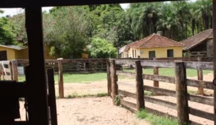 FAZENDA COM 166 ALQUEIRES DUPLA APTIDÃO EM MORRINHOS - GO