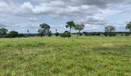 FAZENDA DUPLA APTIDÃO 33 ALQUEIRES EM UNIÃO DE MINAS-MG