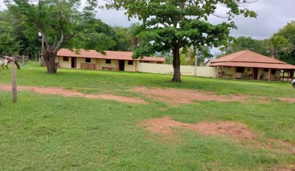 FAZENDA COM 1.004 ALQUEIRES DUPLA APTIDÃO EM FORMOSO DO ARAGUAIA - TO
