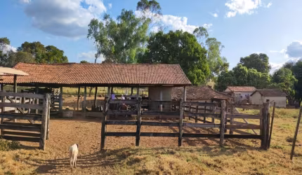 FAZENDA 218 ALQUEIRES DE DUPLA APTIDÃO EM FORMOSO DO ARAGUAIA-TO