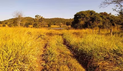FAZENDA COM 125 ALQUEIRES DUPLA APTIDÃO NO MUNICÍPIO DE BOM JARDIM DE GOIÁS - GO