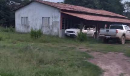 FAZENDA COM 370 ALQUEIRES DUPLA APTIDÃO NO MUNICÍPIO DE COLINAS - TO