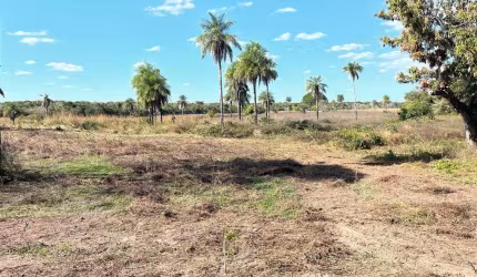 FAZENDA COM 350 ALQUEIRES DUPLA APTIDÃO NO MUNICÍPIO DE PALMEIRANTE - TO
