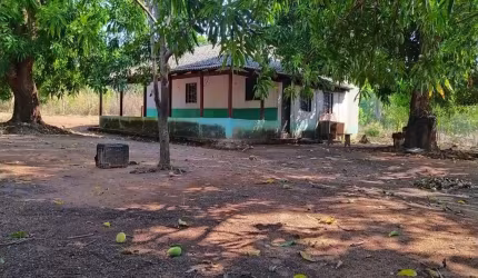 FAZENDA COM 146 ALQUEIRES DUPLA APTIDÃO NO MUNICÍPIO DE PORTO NACIONAL - TO