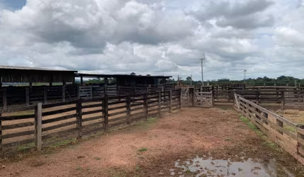 FAZENDA COM 600 ALQUEIRES DUPLA APTIDÃO EM SÃO FÉLIX DO XINGU - PA