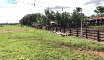 FAZENDA COM 400 ALQUEIRES PARA PECUÁRIA NO MUNICÍPIO DE SÃO FÉLIX DO XINGU - PA