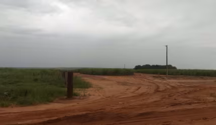 FAZENDA DUPLA APTIDÃO 470 ALQUEIRES EM CANA MUNICÍPIO DE MINEIROS-GO