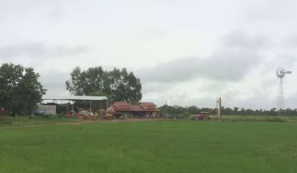 FAZENDA DUPLA APTIDÃO COM 300 ALQUEIRES EM LAGOA DA CONFUSÃO - TO
